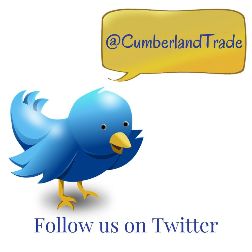 FOLLOW US on ✨ Twitter ✨